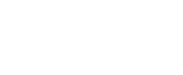 Insight